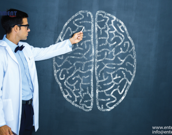 Foundations of Neuroscience: Deciphering Brain Functions, United States