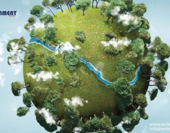 Deciphering the ABCs of Ecology: Exploring Ecosystems and Biodiversity, Simplified