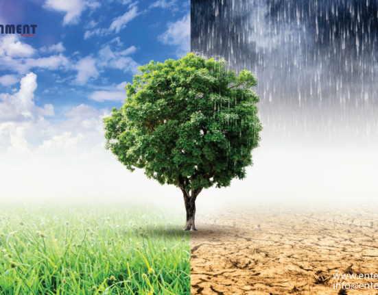 Addressing Climate Challenges: Building Resilience Amidst U.S. Crisis