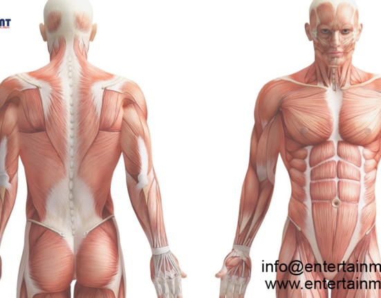 Exploring the Wonders of the Human Body: An Introduction to Anatomy and Physiology