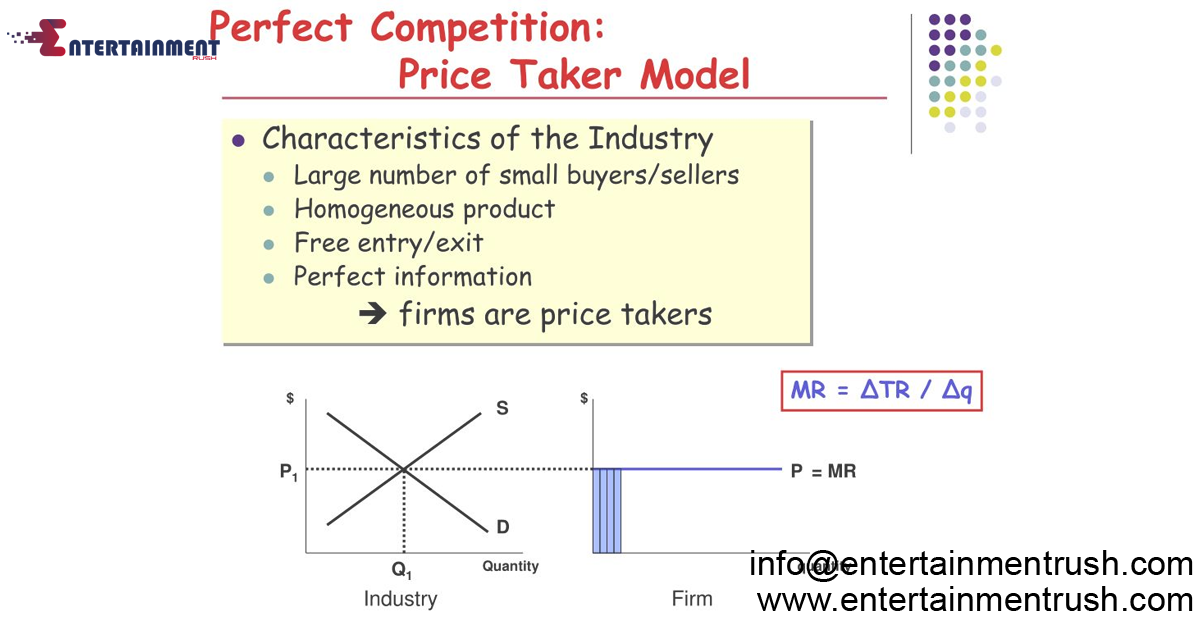 A Comprehensive Overview of Perfect Competition