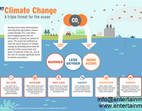Exploring the Science of Climate: Investigating Patterns and Phenomena in the United State