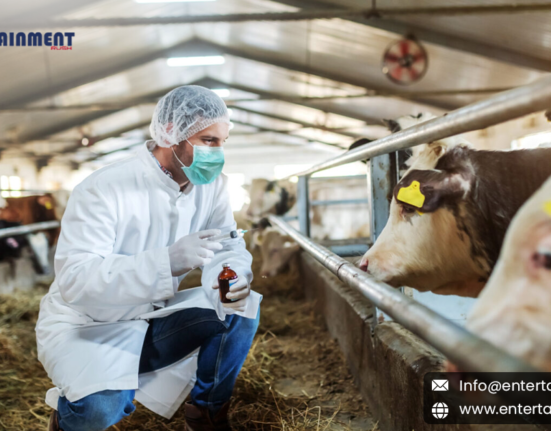 Stopping the Bird Flu Outbreak in Cows: A New Approach Beyond Milk