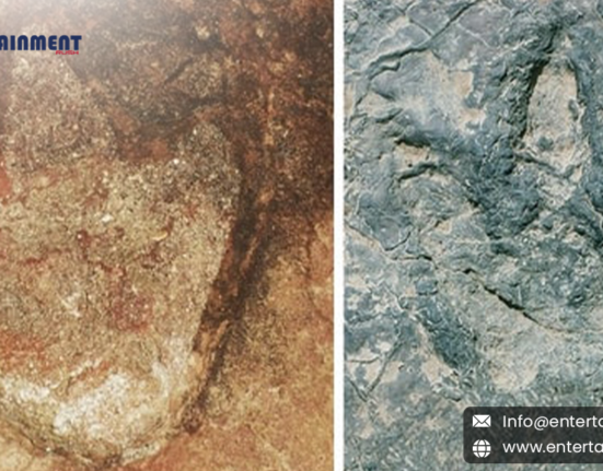 Scientists Find Identical Dinosaur Footprints on Both Sides of the Atlantic